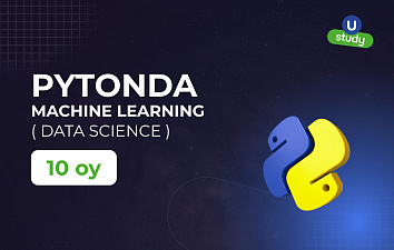 Professional Machine Learning Engineer